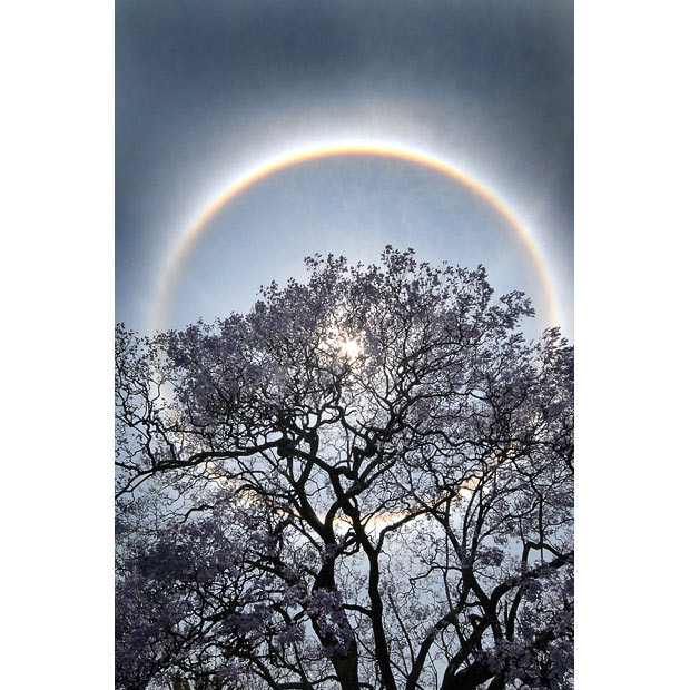 A rainbow halo is seen around the sun over Johannesburg, South Africa. The ring is caused by the sun’s rays refracting off ice crystals within thin cirrus clouds