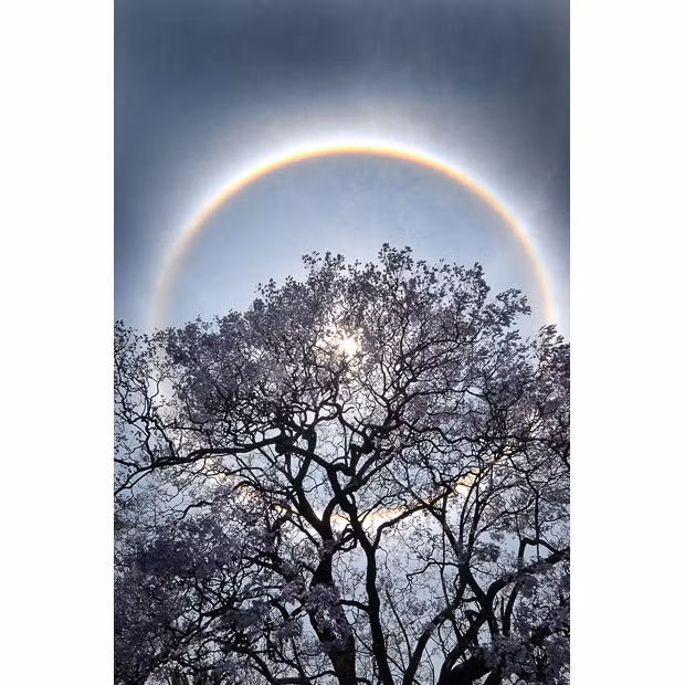 Những hình ảnh ấn tượng trong tuần ảnh 8 A rainbow halo is seen around the sun over Johannesburg, South Africa. The ring is caused by the sun’s rays refracting off ice crystals within thin cirrus clouds