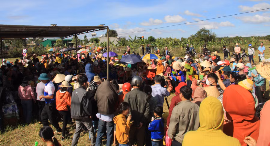 Lễ hội Lồng tồng đã thu hút hàng nghìn lượt du khách trong và ngoài tỉnh.