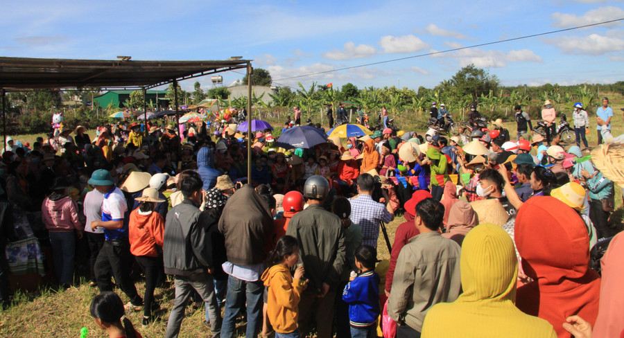 Lễ hội Lồng tồng đã thu hút hàng nghìn lượt du khách trong và ngoài tỉnh.