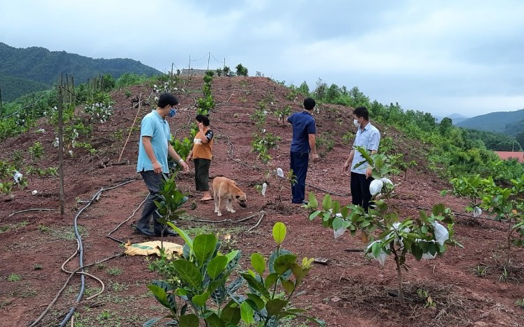 Đến hết năm 2022, Yên Than không còn hộ nghèo, chỉ còn có 5 hộ cận nghèo. Đến hết năm 2022, Yên Than không còn hộ nghèo, chỉ còn có 5 hộ cận nghèo.