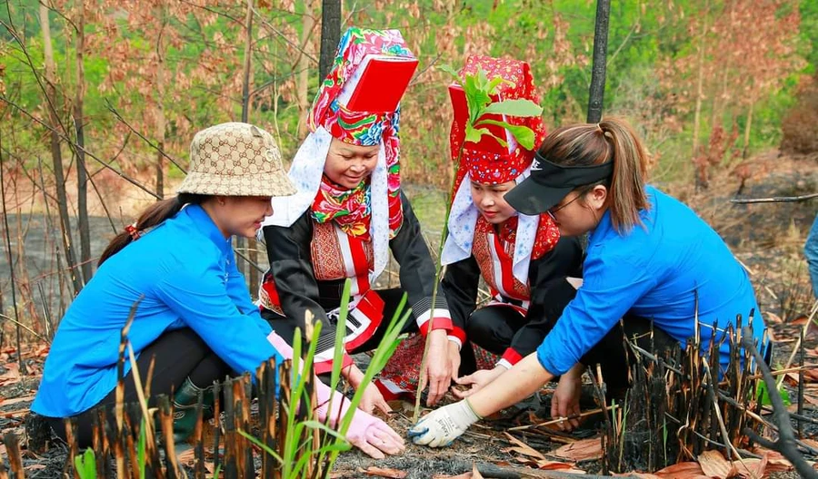 Yên Than giảm nghèo bền vững từ chuẩn nông thôn mới kiểu mẫu.