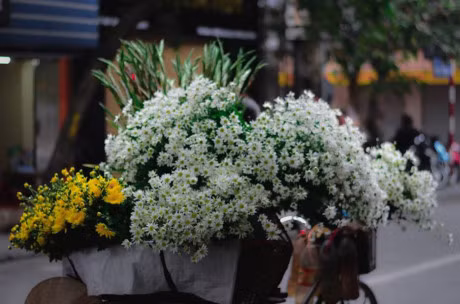 Chum anh: Co mot Ha Noi binh yen den nao long - Anh 9