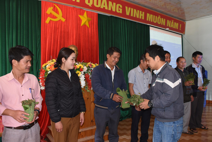 Hơn 10.000 cây sâm Ngọc Linh được trao cho hộ dân khó khăn trên địa bàn huyện Tu Mơ Rông. Hơn 10.000 cây sâm Ngọc Linh được trao cho hộ dân khó khăn trên địa bàn huyện Tu Mơ Rông.