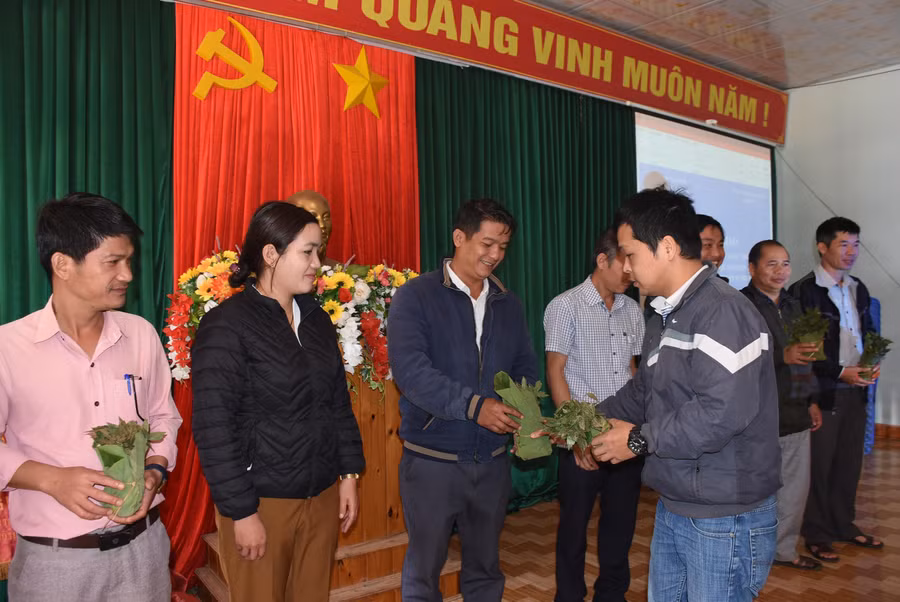 Hơn 10.000 cây sâm Ngọc Linh được trao cho hộ dân khó khăn trên địa bàn huyện Tu Mơ Rông.