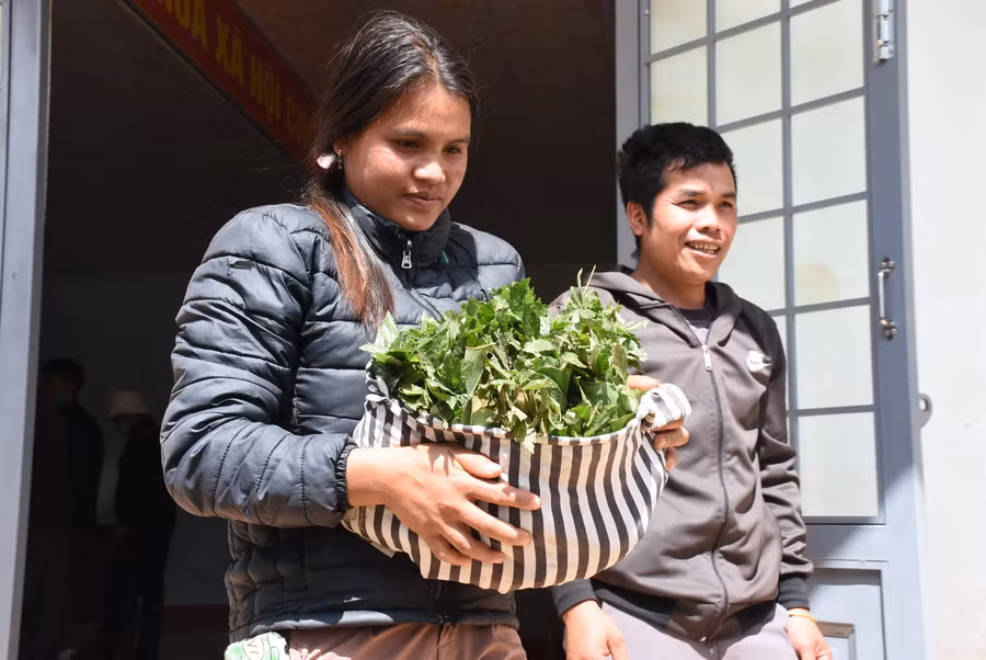 Người dân vui mừng đón nhận những cây sâm Ngọc Linh giống.