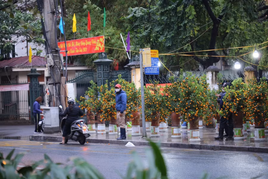 Người bán đào, quất ở Hà Nội dầm mình dưới mưa lạnh ngày 28 Tết ảnh 4