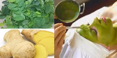 Rau ngót trị nám cực hiệu quả ảnh 2 Rau ngót trị nám cực hiệu quả ảnh 2