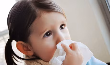 Con het nghet mui khi giao mua nho me ap dung loat meo 