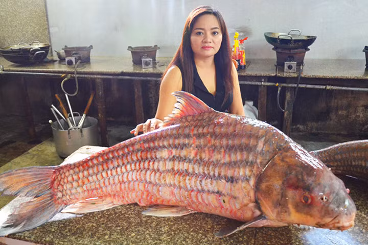 Chủ nhà hàng với con cá sọc dưa nặng hơn nửa tạ.