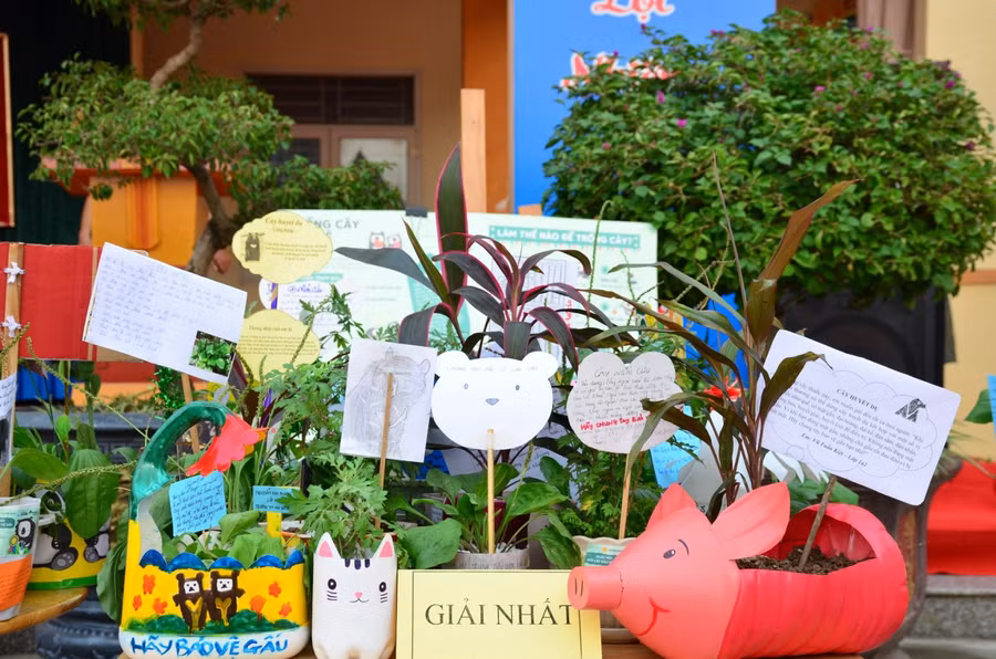 Các chậu cây từ chai nhựa được các em học sinh tái chế thành những hình thù ngộ nghĩnh.