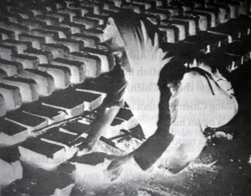 Chị Hằng với hình ảnh âm bản trong phim Chuyện tử tế của đạo diễn Trần Văn Thủy - Ảnh: L.Đ.Dục chụp lại