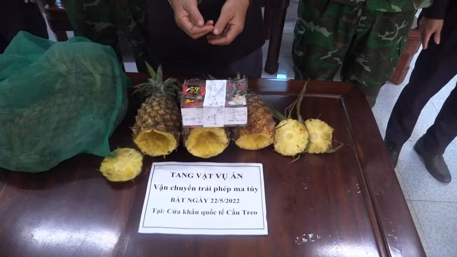 Hà Tĩnh: Dùng dứa để cất giấu ma tuý