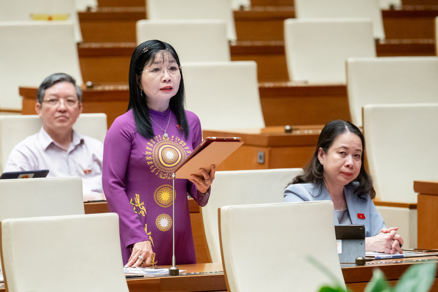 Đại biểu Trần Thị Thanh Hương. Đại biểu Trần Thị Thanh Hương.