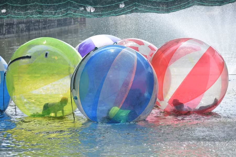 Những khu vui chơi trong công viên cũng hoạt động tối đa trong ngày hôm nay.