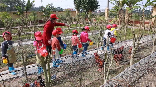 Giúp trẻ khám phá thế giới động vật thông qua "trang trại" của nhà trường