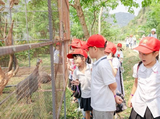 Học sinh tham quan tại vườn thú.