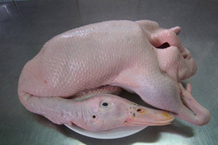 Phân biệt thịt gà và thịt vịt đã bơm nước