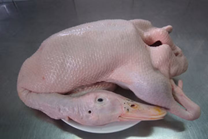 Phân biệt thịt gà và thịt vịt đã bơm nước