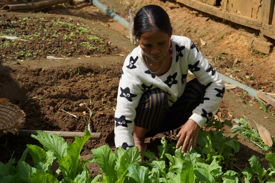 Chị Y Cân cùng chồng cố gắng làm ăn để phát triển kinh tế gia đình.