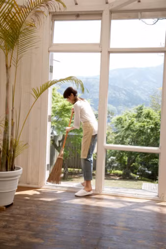 Thường xuyên vệ sinh nhà cửa có thể phòng tránh được kiến ba khoang