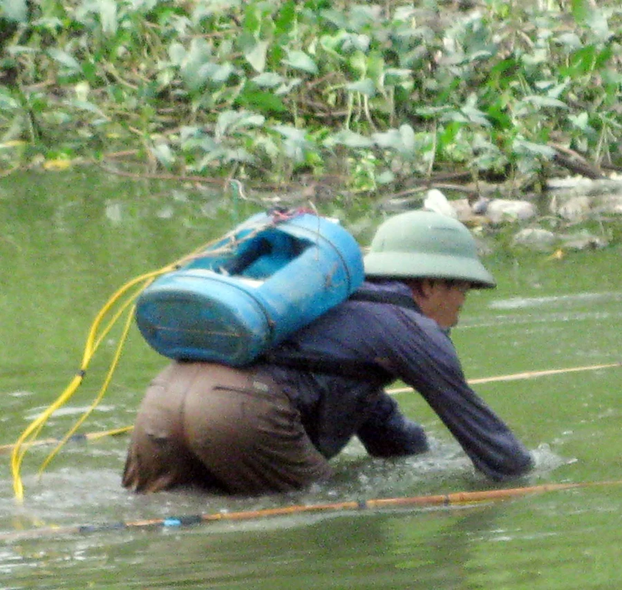 Tận diệt thủy sinh ... dùng điện