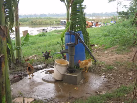 Cả xóm dựa vào nguồn nước giếng khoan do dân trong vùng cho.