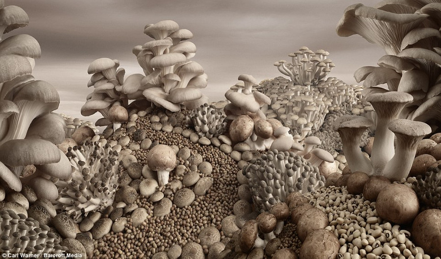 Lạc vào xứ sở thần tiên được làm bằng kẹo, socola và trái cây ảnh 13