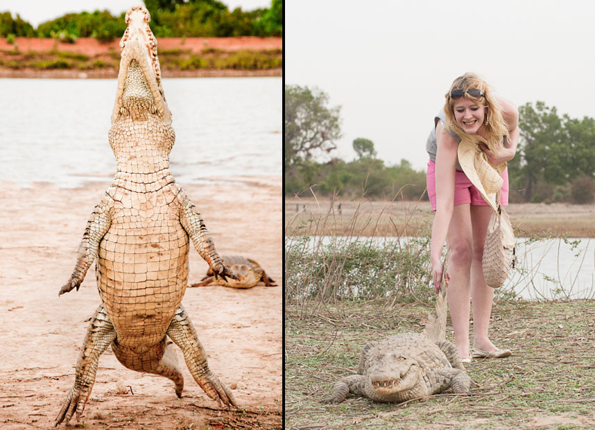 The crocodiles of Bazoule village in Burkina Faso, West Africa, are considered sacred by the people who live next to their watering hole, and they have such a close relationship that residents take it in turns to feed the potentially lethal beasts. Using a long stick to dangle a dead bird, locals are able to encourage a few of the crocodiles to stand up on two legs to grab their food. They have become so used to humans that some of the reptiles will even allow tourists to hold their tails. British IT manager, Gavin Chapman, 34, from London captured this sight while on holiday with his family.