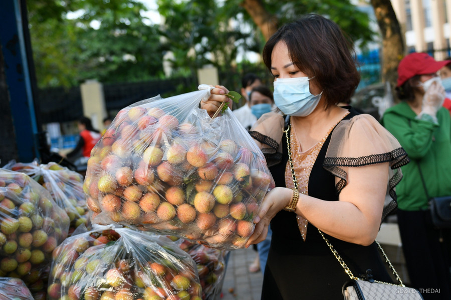 Thời điểm chiều muộn ngày 28/5, vẫn đông người dân Hà Nội tìm đến mua vải thiều của nhóm thiện nguyện.