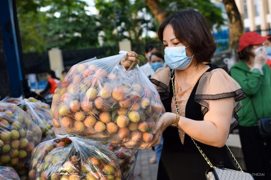 Thời điểm chiều muộn ngày 28/5, vẫn đông người dân Hà Nội tìm đến mua vải thiều của nhóm thiện nguyện.