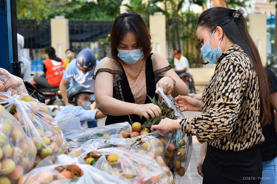 Hàng chục tấn vải thiều Bắc Giang được giải cứu mỗi ngày ở Hà Nội ảnh 10