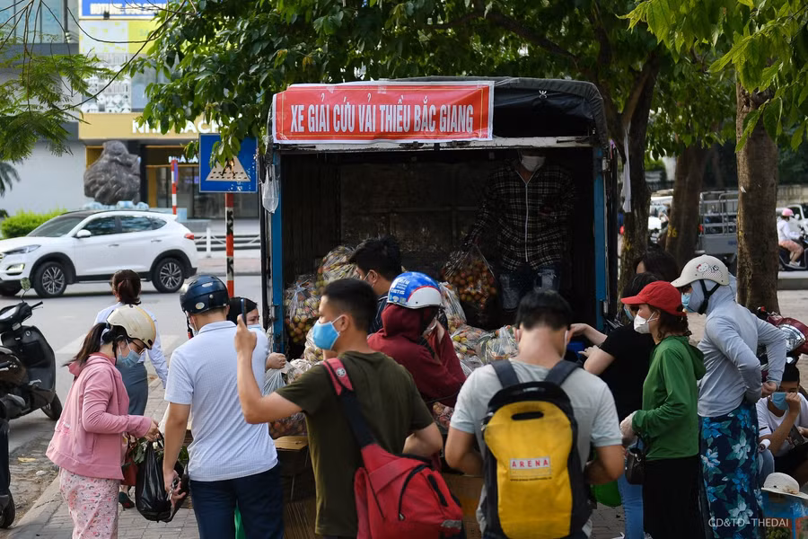 Được biết, tỉnh Bắc Giang cũng đã quyết định thành lập 2 tổ hỗ trợ xuất khẩu vải thiều tại cửa khẩu tỉnh Lào Cai và Lạng Sơn. Các tổ này có nhiệm vụ nắm bắt và xử lý tại chỗ những vấn đề khó khăn, vướng mắc nảy sinh trong quá trình vận chuyển, lưu thông và xuất khẩu vải thiều qua các cửa khẩu.