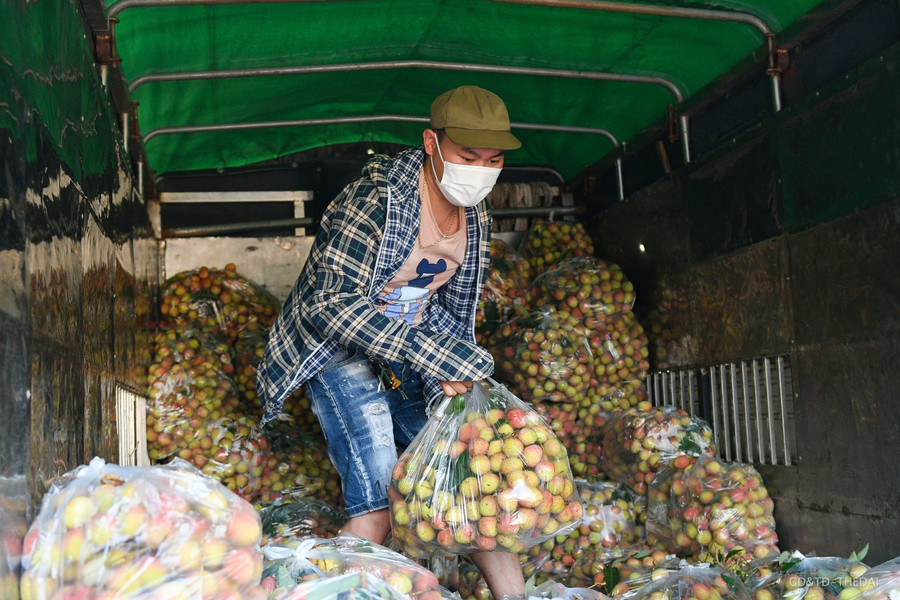 Hàng chục tấn vải thiều Bắc Giang được giải cứu mỗi ngày ở Hà Nội ảnh 4