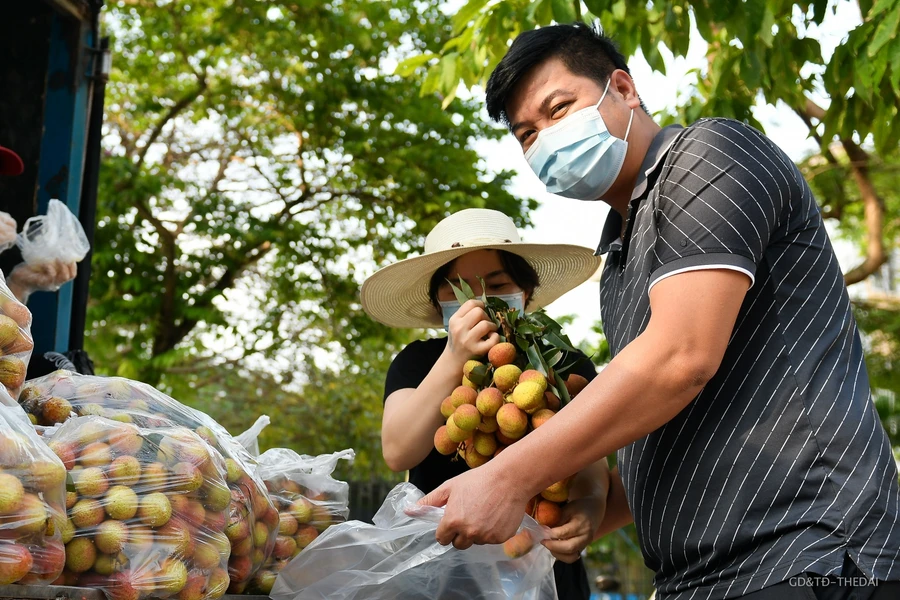 Nhiều người dân thủ đô đã tích cực tiêu thụ vải thiều giúp bà con nông dân.