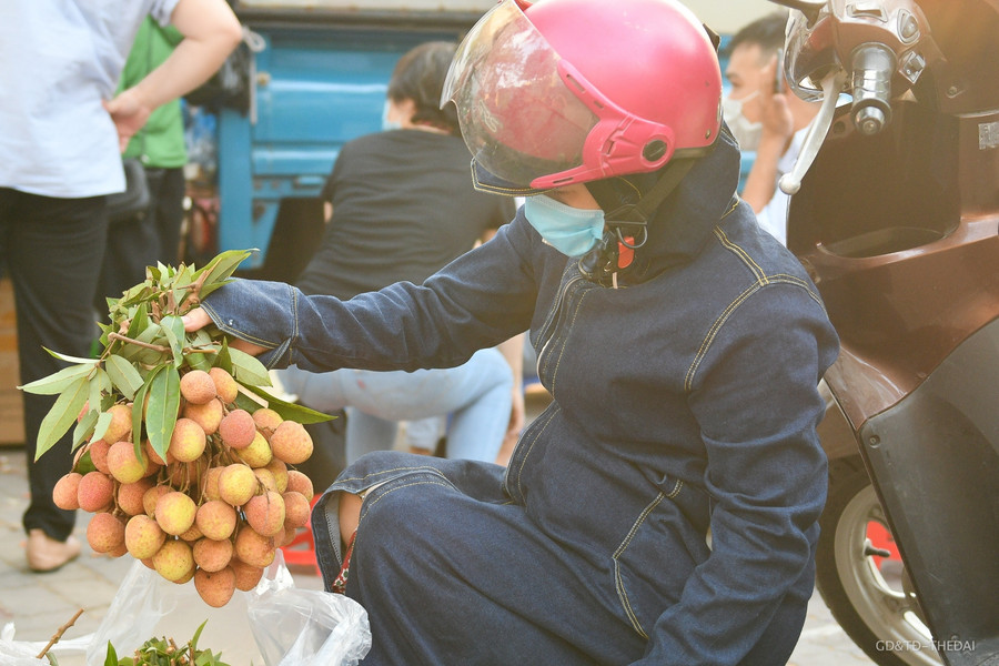 Hàng chục tấn vải thiều Bắc Giang được giải cứu mỗi ngày ở Hà Nội ảnh 7