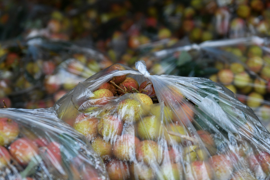 Hàng chục tấn vải thiều Bắc Giang được giải cứu mỗi ngày ở Hà Nội ảnh 5