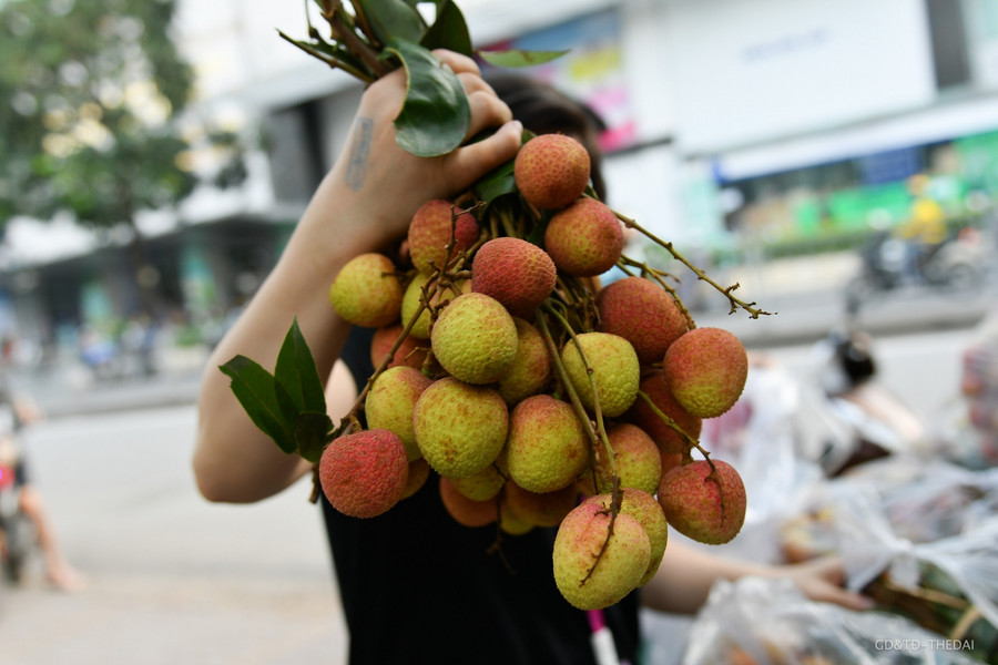 Hàng chục tấn vải thiều Bắc Giang được giải cứu mỗi ngày ở Hà Nội ảnh 2