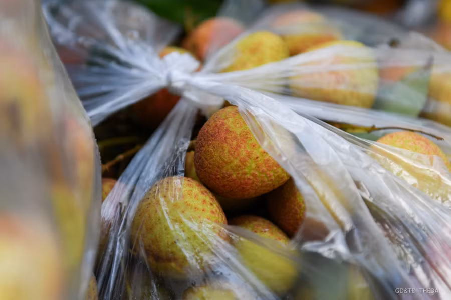 Mỗi túi vải nặng 10kg, được bán với giá 200.000 đồng.