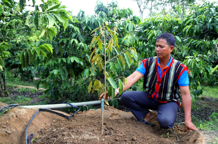 Ông A Bron không ngừng học tập, trau đồi kiến thức và kinh nghiệm để phát triển kinh tế gia đình. Ông A Bron không ngừng học tập, trau đồi kiến thức và kinh nghiệm để phát triển kinh tế gia đình.