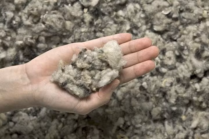 Cách nhiệt cho công trình xây dựng bằng len lông cừu