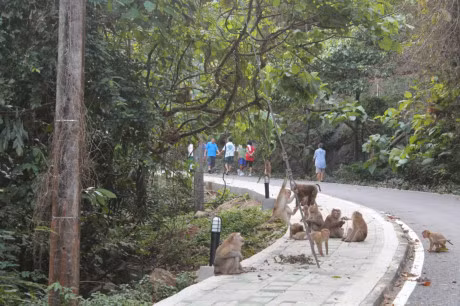 15 diem du lich duoc tim kiem nhieu nhat Dong Nam A 2016 - Anh 9