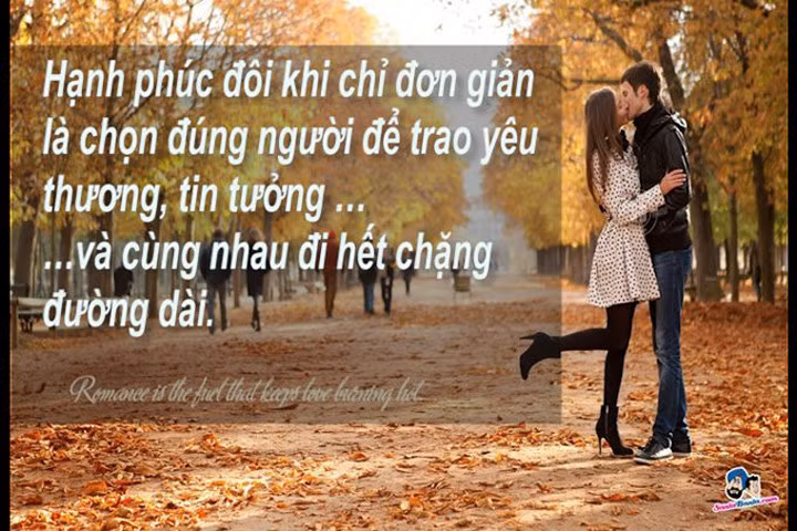 Hãy yêu hoàn hảo một người, đừng tìm người hoàn hảo để yêu