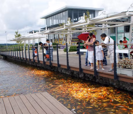 15 diem du lich duoc tim kiem nhieu nhat Dong Nam A 2016 - Anh 12