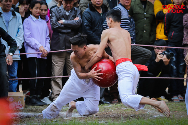 Các đấu sĩ có nhiệm vụ phải tranh nhau quả cầu làm bằng gỗ mít được sơn son thếp vàng nặng tới 25kg và đưa về hố (khung thành của đội mình).