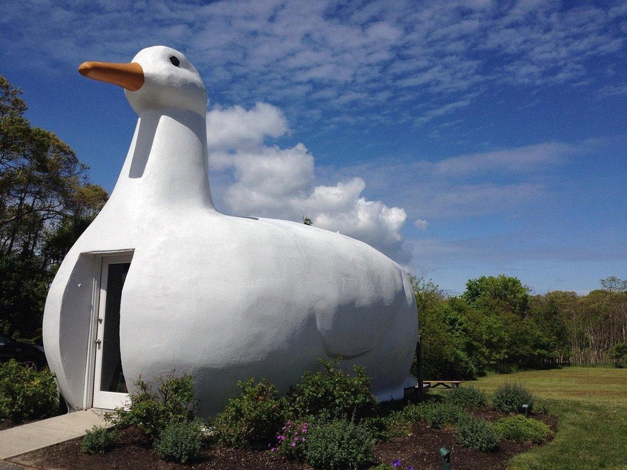 The Big Duck được liệt kê trong Văn khố Quốc gia về địa điểm lịch sử. Ảnh: Tripadvisor. The Big Duck được liệt kê trong Văn khố Quốc gia về địa điểm lịch sử. Ảnh: Tripadvisor.