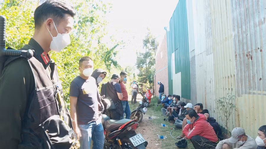 Các đối tượng tổ chức đá gà ăn tiền.