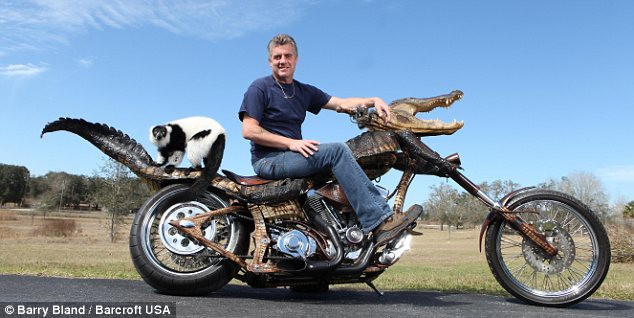 Khi cá sấu "hóa thân" thành xe máy ảnh 1 Jim Jablon on his GatorBike made from the hide of an alligator killed in Florida Read more: http://www.dailymail.co.uk/news/worldnews/article-1250891/Road-Kill-Alligator-killed-US.html#ixzz0faLg37q5