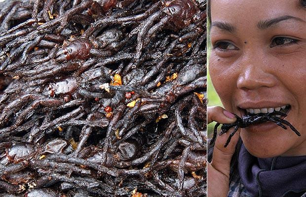Look away now if you are having your lunch: we compile a list of some of the strangest food specialities from around the world. Fried tarantulas – Cambodia An arachnophobe’s worst nightmare comes fried and crunchy in Cambodia. In Phnom Penh markets and in the town of Skuon, locals deep fry spiders for locals and adventurous tourists alike. Buy one of these crispy snacks from a wandering hawker and you may even get to play with a live tarantula before tucking into one of his hairy brothers. The abdomen is only for the truly brave and is said to taste like 