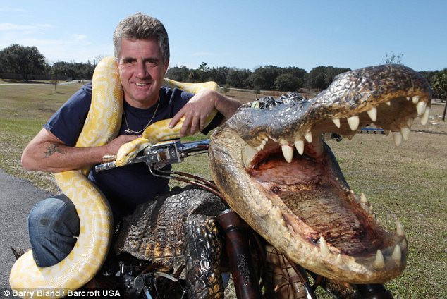 Khi cá sấu "hóa thân" thành xe máy ảnh 2 Jim Jablon with Arctic the Albino python on the Gatorbike Read more: http://www.dailymail.co.uk/news/worldnews/article-1250891/Road-Kill-Alligator-killed-US.html#ixzz0faLkcyCY